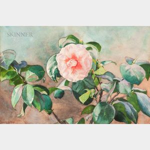 Mabel Hooper La Farge (American, 1875-1944) Camellia August Sky