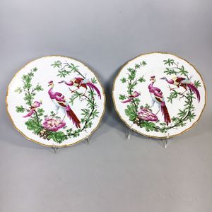 Pair of Chelsea-type Porcelain Tropical Bird Plates