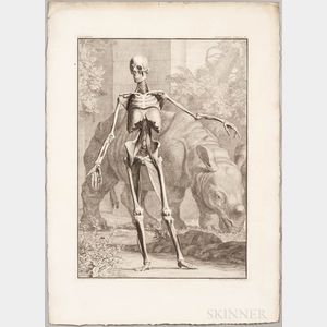 Albinus, Bernhard Siegfried (1697-1770) Tabulae Sceleti et Musculorum Corporis Humani.
