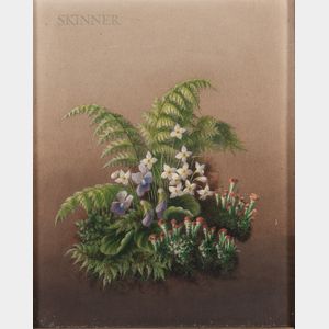 American School, 19th Century Spring Woodland Flowers and Ferns