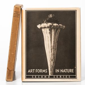 Blossfeldt, Karl (1865-1932) Art Forms in Nature, Second Series.