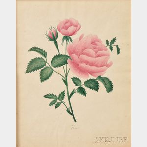 American School, 19th Century Theorem of a Rose.