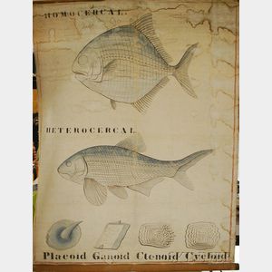 Hand-painted Canvas Fish Teaching Wall Scroll
