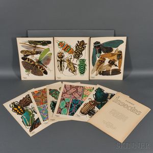 Emile-Allain Séguy (French, 1877-1951) Insectes / Portfolio of Seventeen Plates
