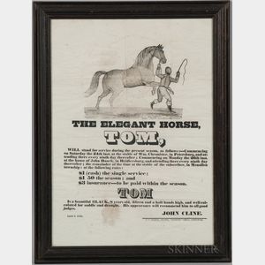Printed Broadside "The Elegant Horse, Tom,"