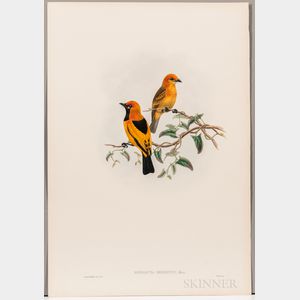 Gould, John (1804-1881) and William Matthew Hart (1830-1908) Six Ornithological Prints.