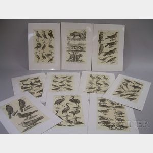 Ten German Matted Bookplates Depicting Mostly Ornithological Subjects
