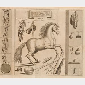 (Equestrian),Solleysell, Jacques, Sieur de (1617-1680)