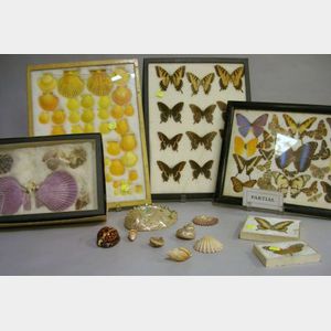 Small Early to Mid-20th Century Collection of Mounted Butterflies and Sea Shells.