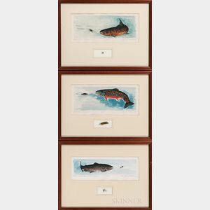 Three Signed Engravings of Trout Species Framed Together with Tied Fishing Flies