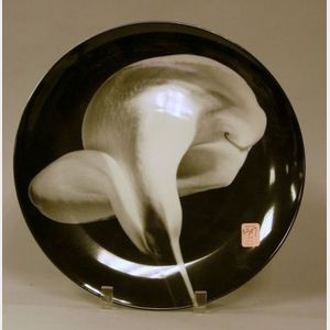 Robert Mapplethorpe "Calla Lily, 1984" Transfer Decorated Porcelain Plate