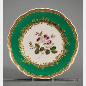 Seventeen Chamberlain's Worcester Porcelain Botanical Decorated Plates