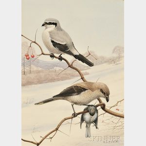 Earl Lincoln Poole (American, 1891-1972) Birds of Prey