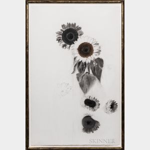 Linda Etcoff (American, b. 1952) Large Sunflower Study.