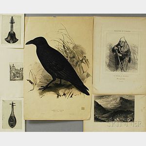 Collection of Unframed Prints