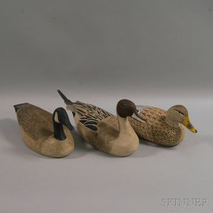 Three Carved and Painted Waterfowl Decoys