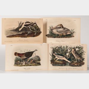 Audubon, John James (1785-1851) Seven Octavo Ornithological Chromolithographic Plates.