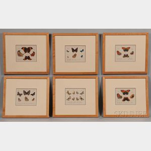 Carl Gustav Jablonsky (German, 1756-1787),Six Framed Engravings of European Butterfly Species: Archontes (2),Dictatores (2),Milites