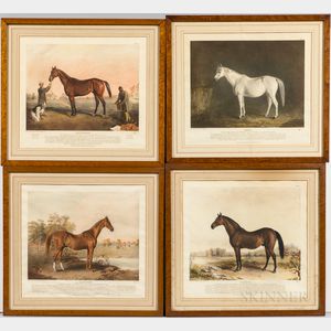 Seven Framed Equestrian Prints