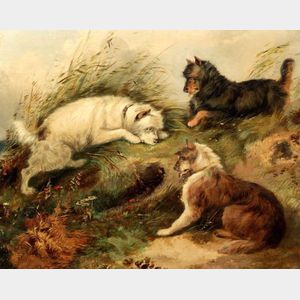 Attributed to George Smith Armfield (British, 1808 - 1893) Scottish Terriers.