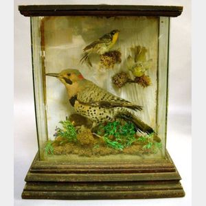 Victorian Three-Bird Diorama.