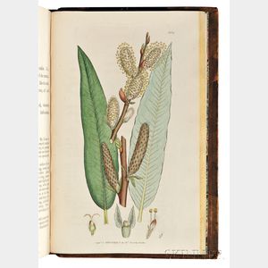 Sowerby, James (1757-1822) English Botany , Partial Set, Eighteen Volumes.