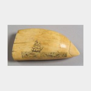 Engraved Whale&#39;s Tooth