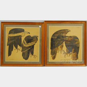 Lucien Georges Guyot (French, 20th Century) Pair of Watercolors of Raptors