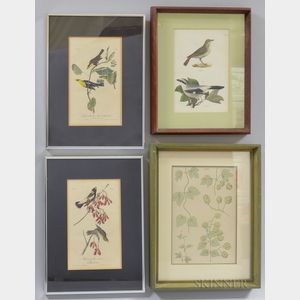 Ornithological and Botanical Prints, 19th Century, Four Framed.