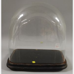 Rectangular Glass Display Dome with Wooden Base