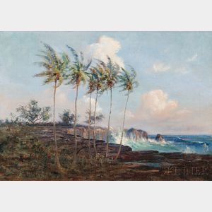 David Howard Hitchcock (American, 1861-1943) Big Island of Hawaii