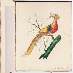 Irish Album Containing Drawings and Paintings, Mid-19th Century.