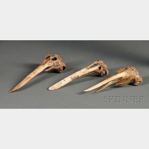 Three New Guinea Carved Bone Implements