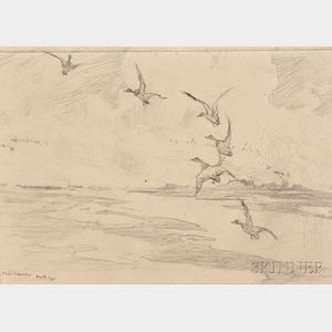 Frank Weston Benson (American, 1862-1951) Seven Pencil Studies of Ducks and Birds: Widgeons Alighting, Thrush and Yellow Legs