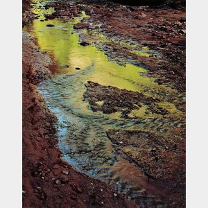 Eliot Porter (American, 1901-1990) Green Reflections in Stream, Moqui Creek, Glen Canyon, Utah, September 2, 1962