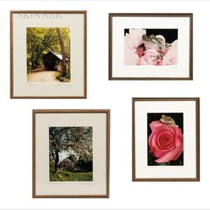 Four Framed Photographs: Ted Schiffman (American, b. 1942),On the Perfect Rose