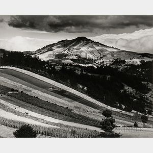 Brett Weston (American, 1911-1993) Guatemala Landscape