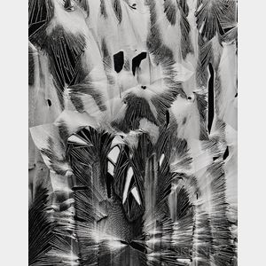 Brett Weston (American, 1911-1993) Cracked Paint, Garrapata