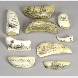 Group of Seven Scrimshaw Whale&#39;s Teeth