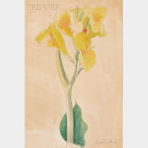 Joseph Stella (American, 1877-1946) Yellow Alstroemeria