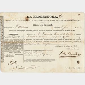 Cuban Slave Insurance Document