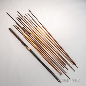 Thirteen South American Arrows and a Bow
