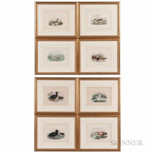 Eight Framed Lithographs of Ducks