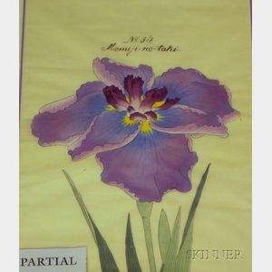 Two Unframed Japanese-style Floral Studies of Irises