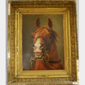 Attributed to George Ford Morris (American, 1873-1960) Portrait of a Horse's Head.