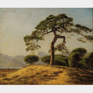 Attributed to Ernest Wadsworth Longfellow (American, 1845-1921) The Lone Pine