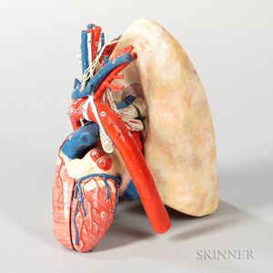 Auzoux Papier-mache Anatomical Model of a Heart