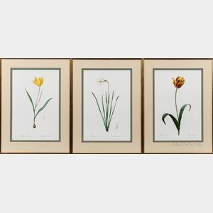 Three Framed Botanical Reproduction Prints After Pierre-Joseph Redoute