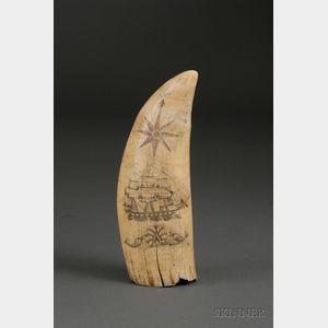 Engraved Whale's Tooth