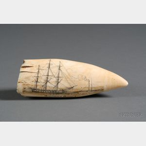 Engraved Whale's Tooth